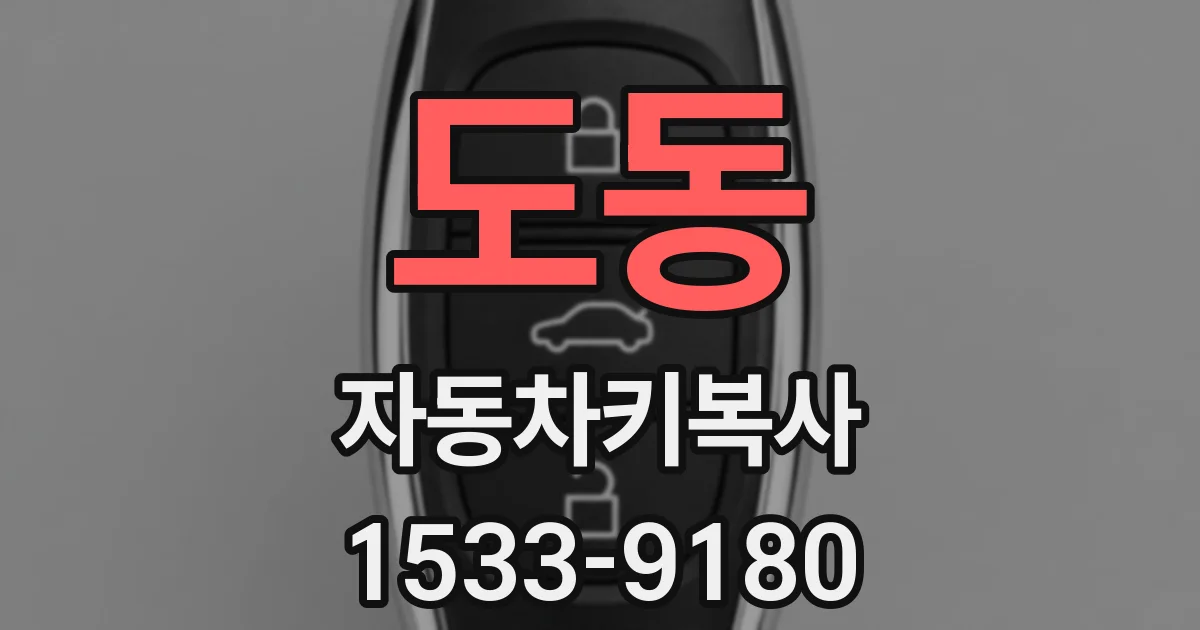 도동 자동차키복사
