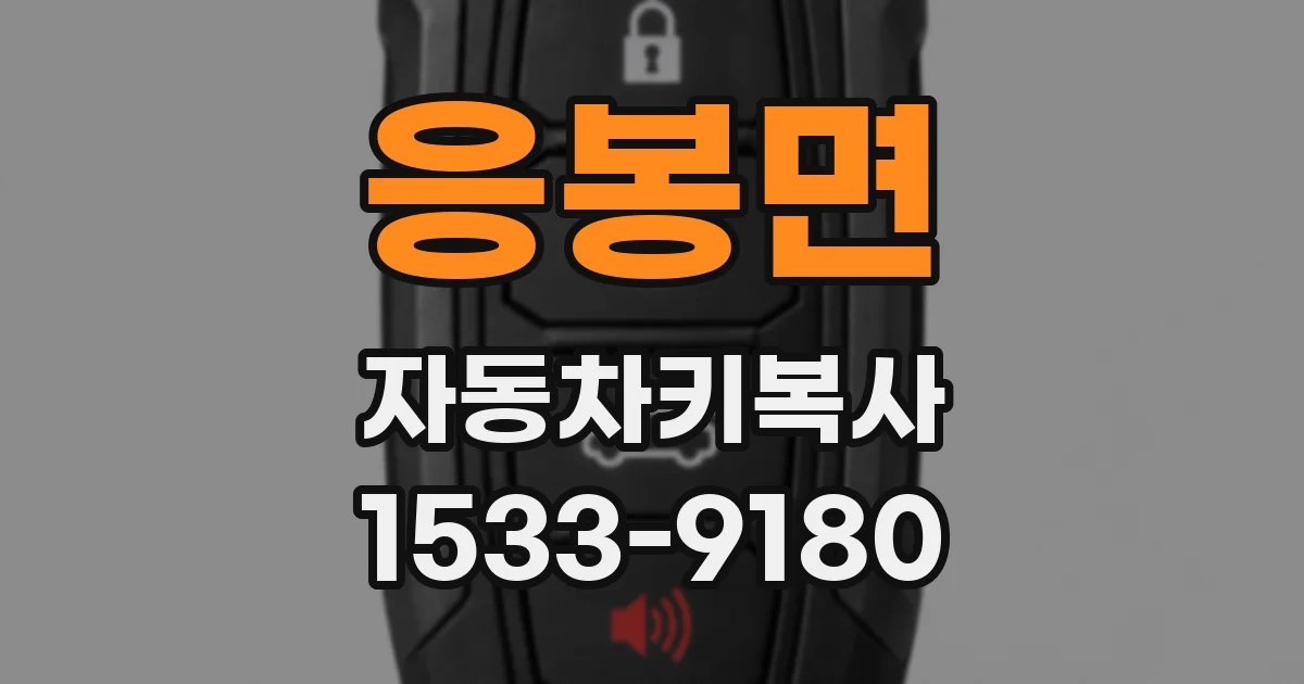응봉면 자동차키복사