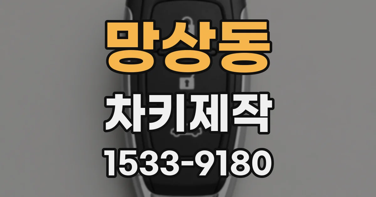 망상동 차키제작
