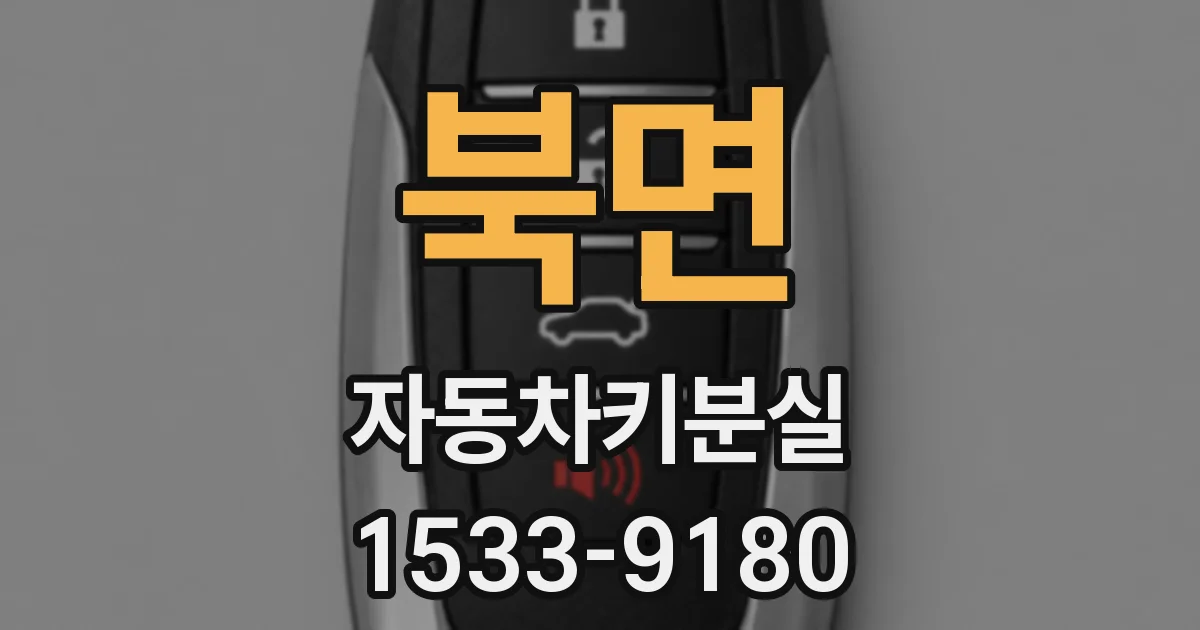 북면 자동차키분실