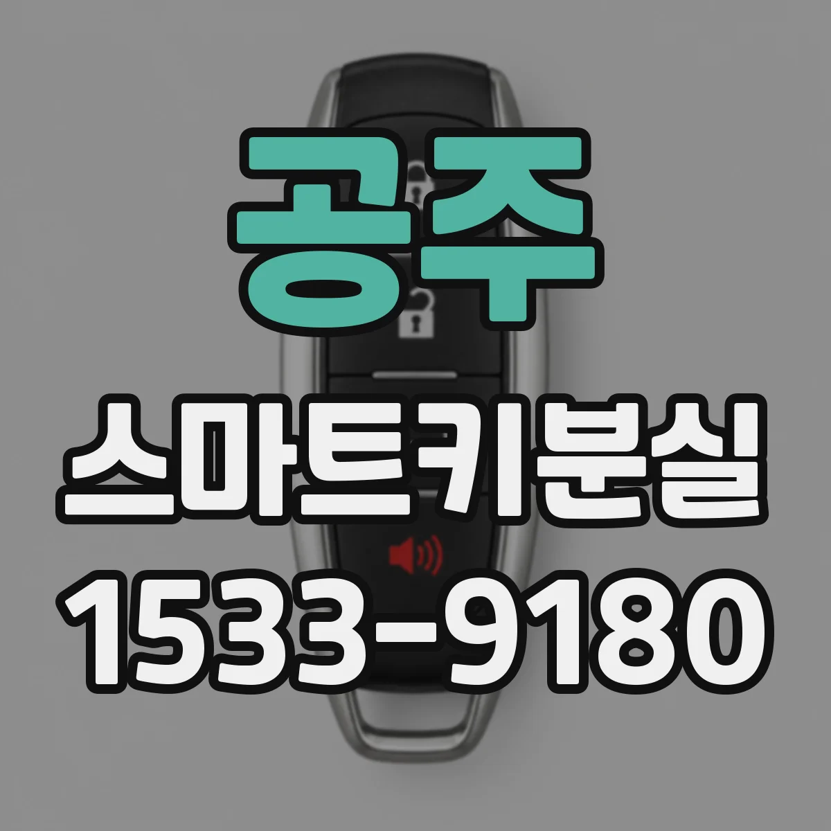 공주 스마트키분실