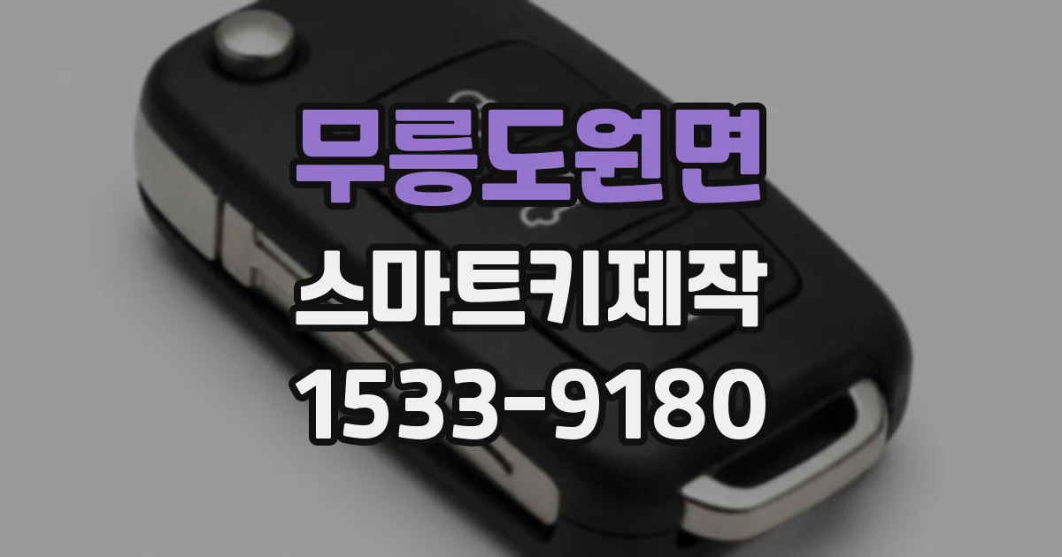 무릉도원면 스마트키제작