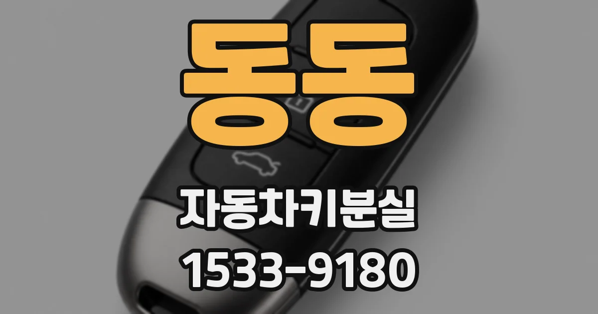 동동 자동차키분실