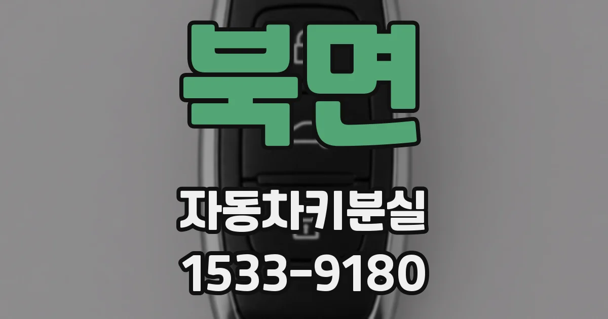 북면 자동차키분실