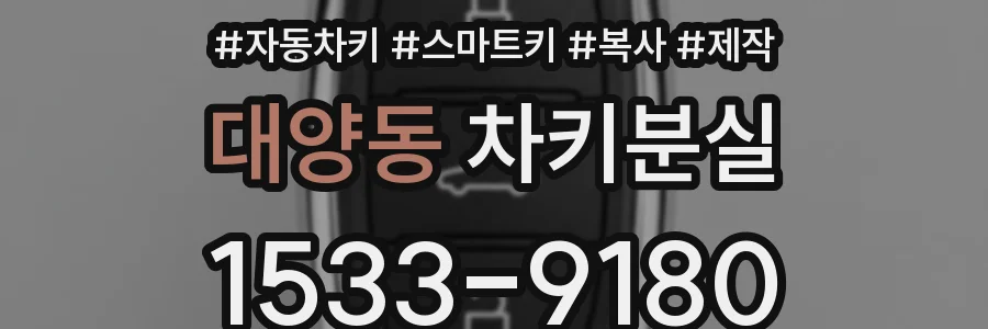 대양동 차키분실