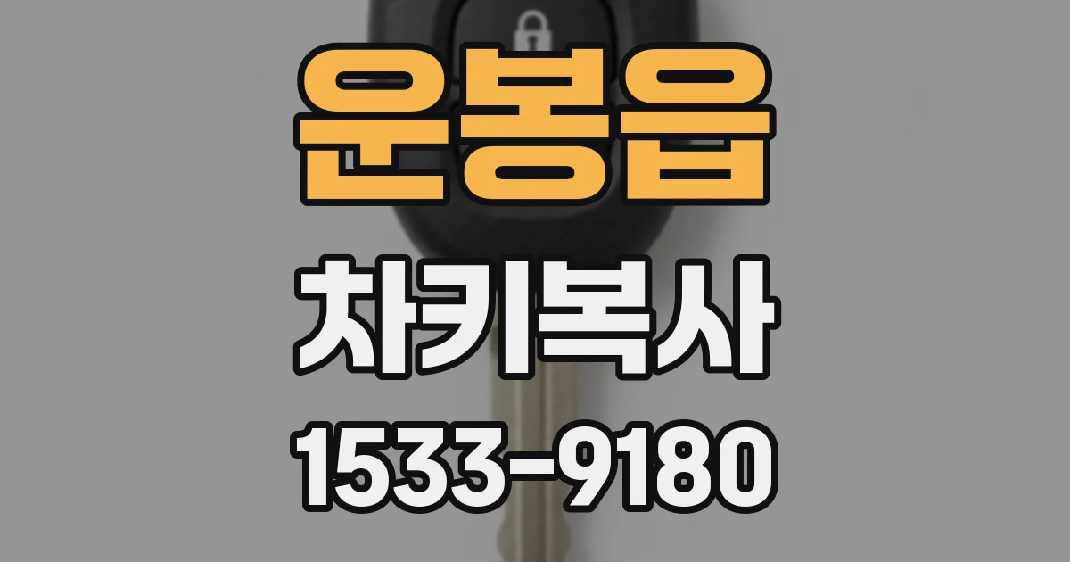 운봉읍 차키복사