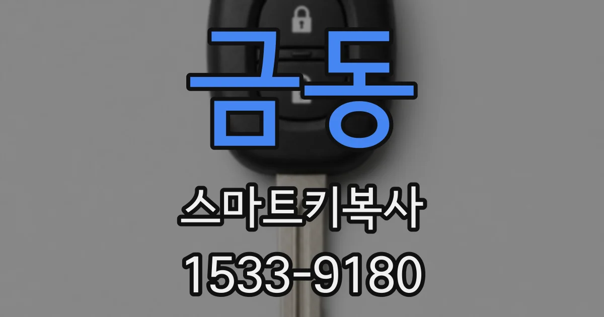 금동 스마트키복사