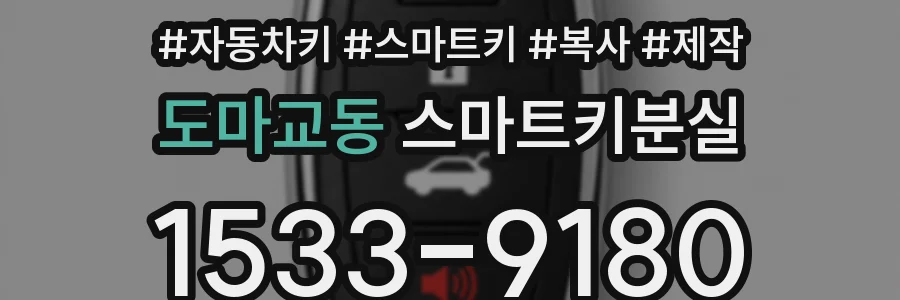도마교동 스마트키분실