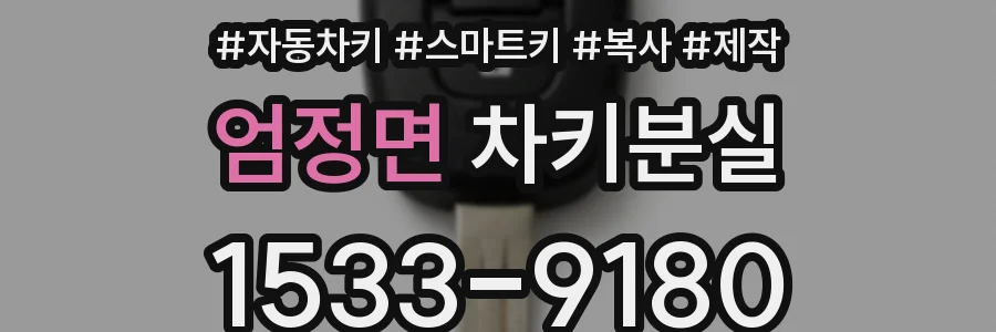 엄정면 차키분실