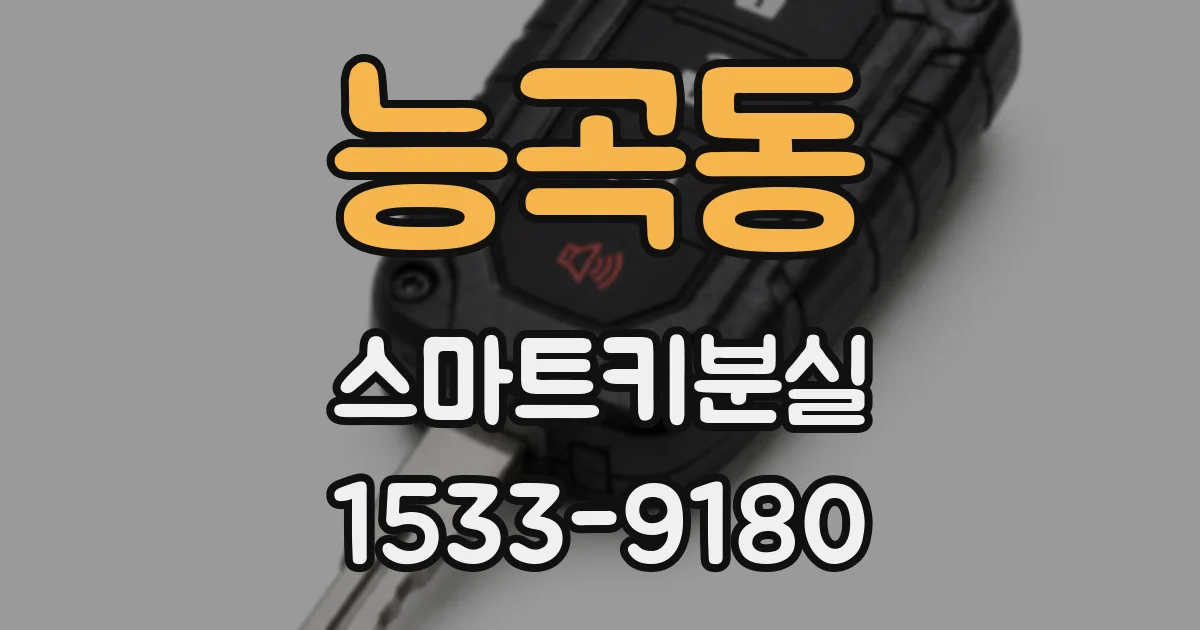 능곡동 스마트키분실