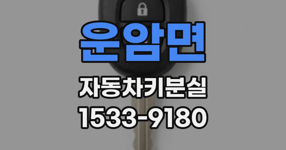 운암면 자동차키분실