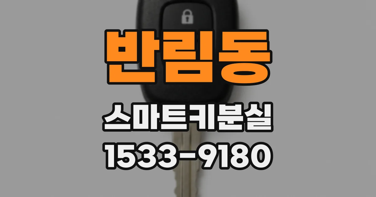 반림동 스마트키분실