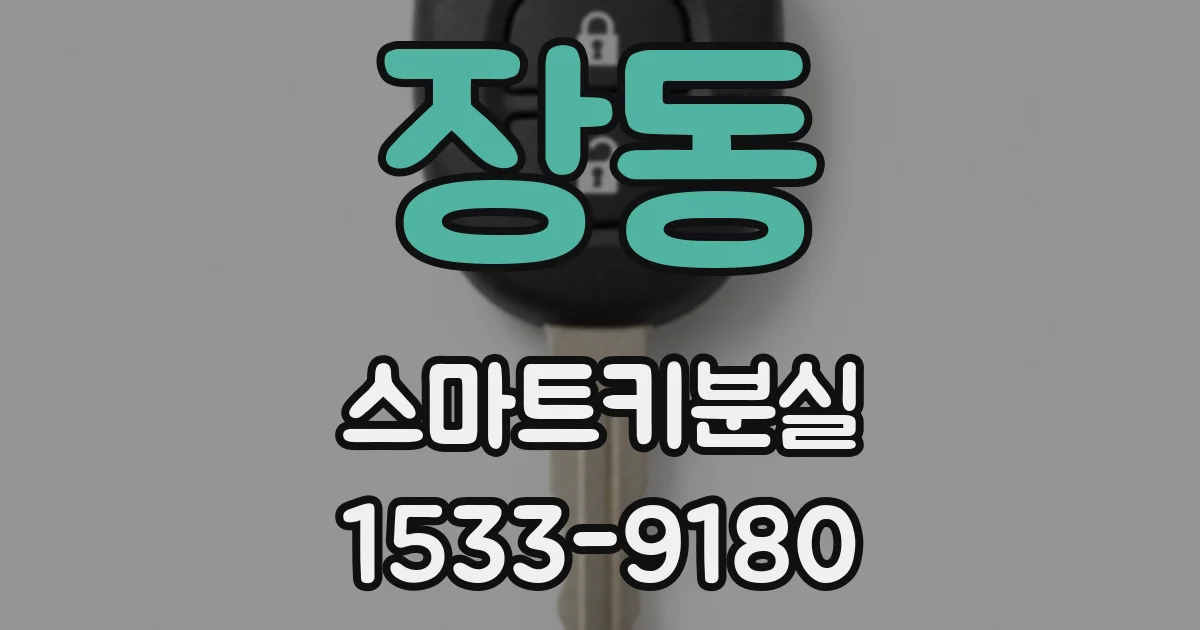 장동 스마트키분실