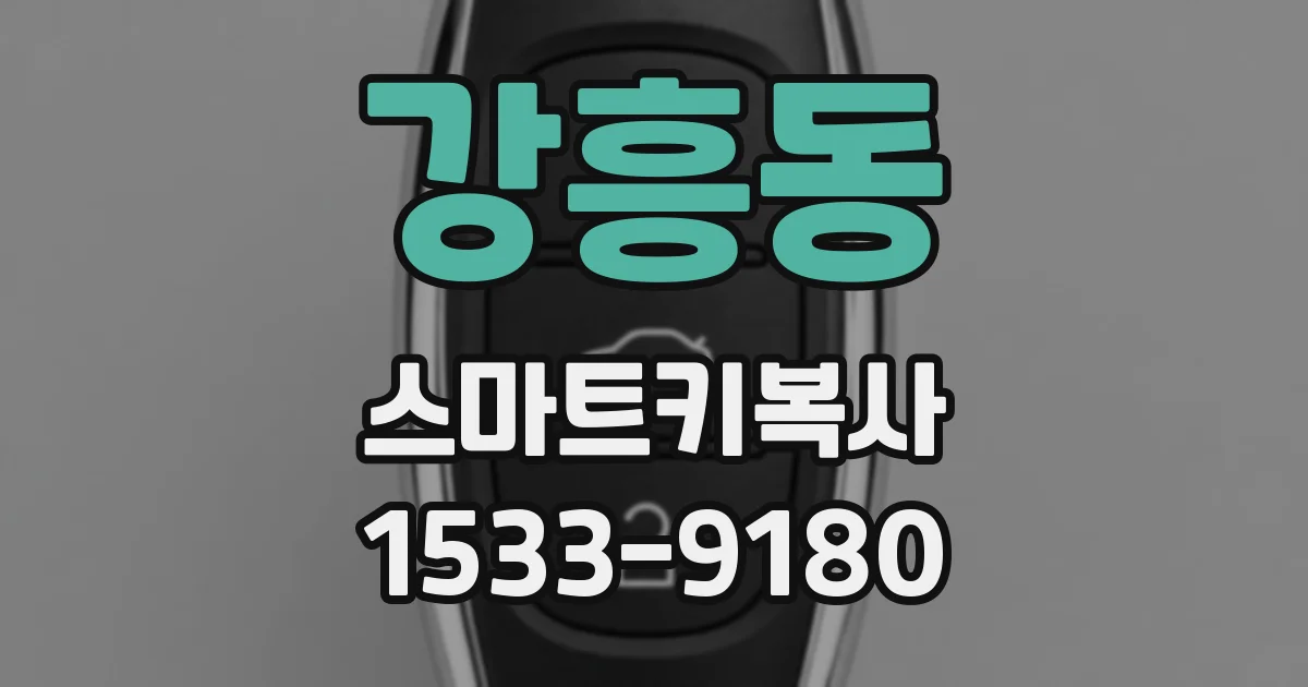 강흥동 스마트키복사