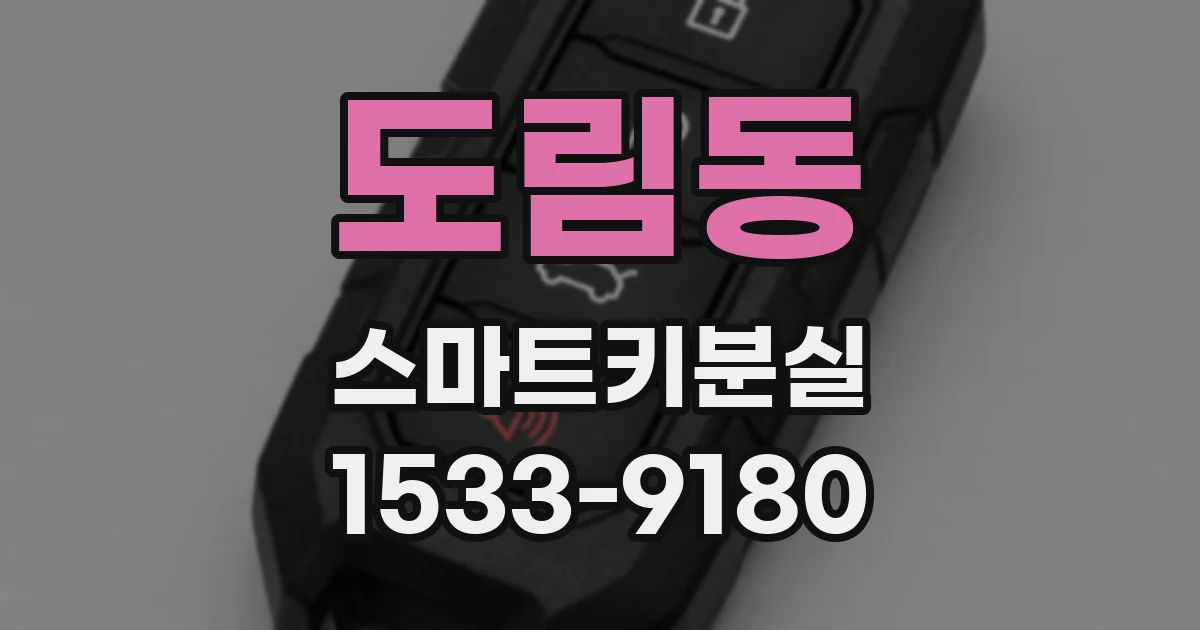 도림동 스마트키분실