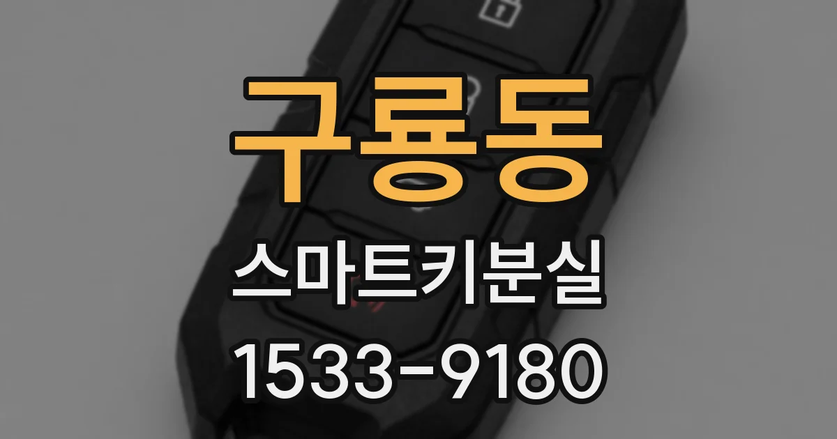 구룡동 스마트키분실