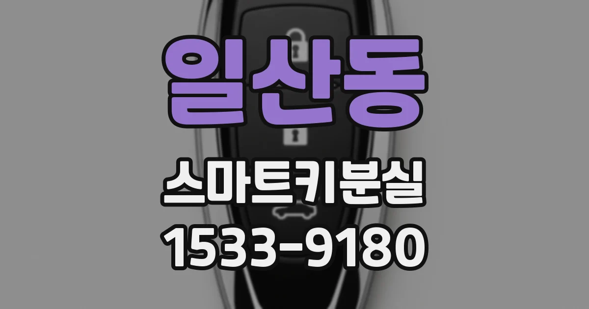 일산동 스마트키분실