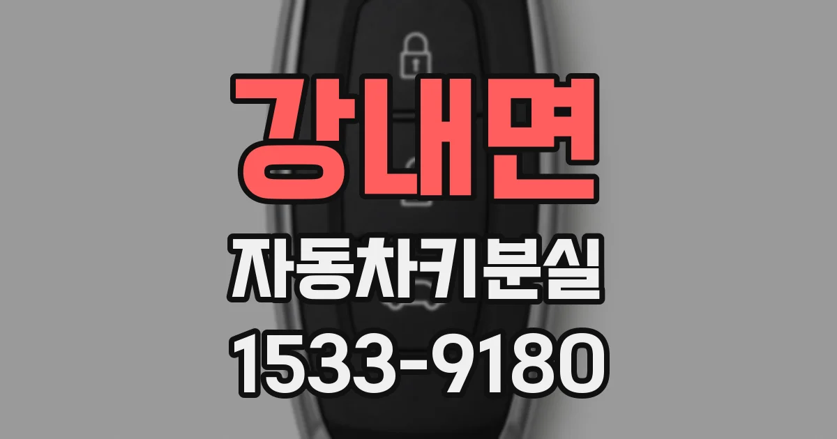 강내면 자동차키분실