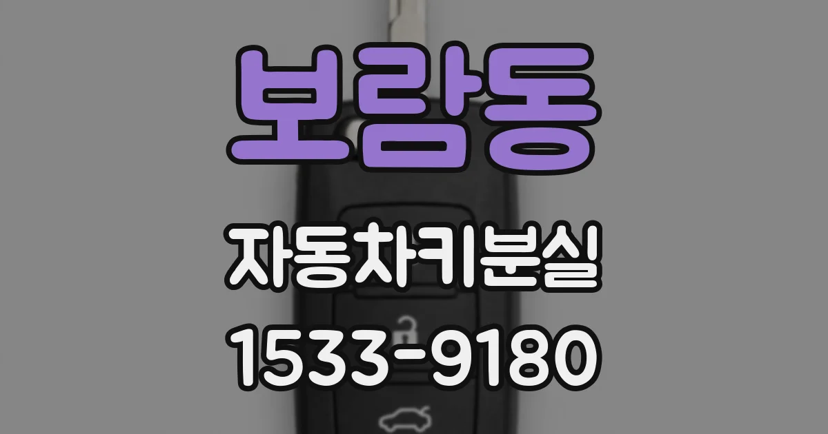 보람동 자동차키분실