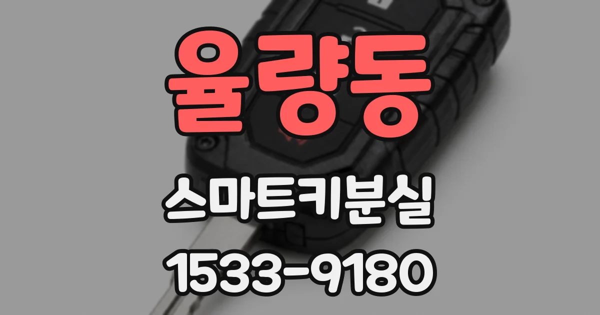 율량동 스마트키분실