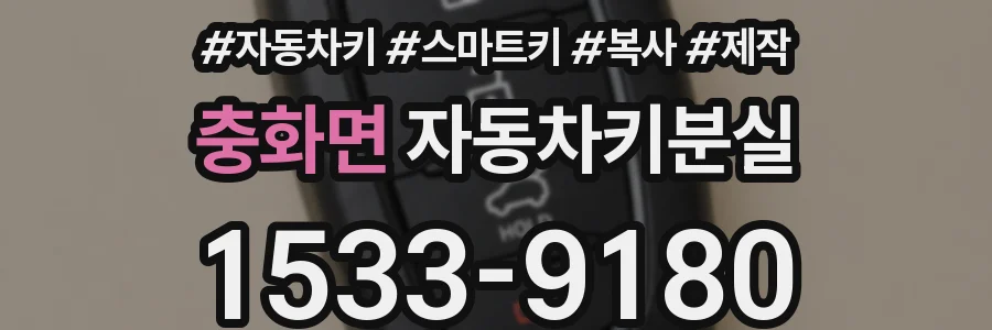 충화면 자동차키분실