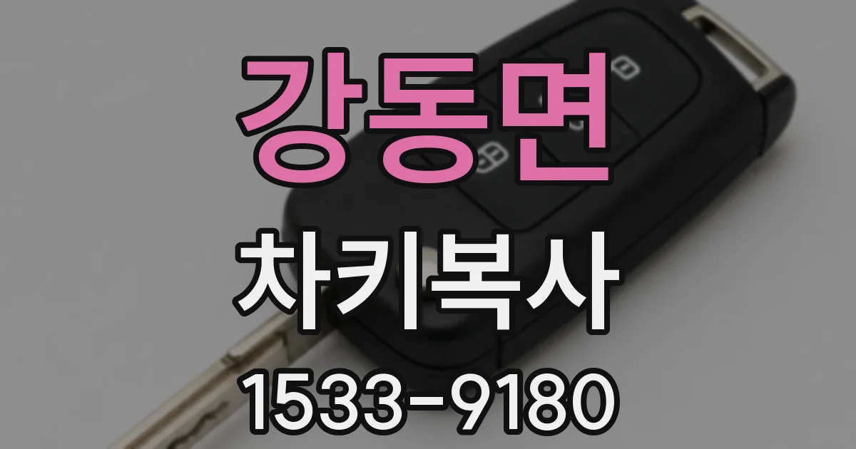강동면 차키복사