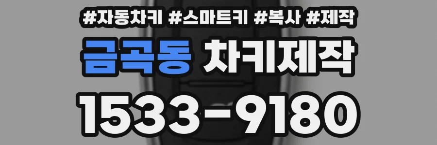 금곡동 차키제작