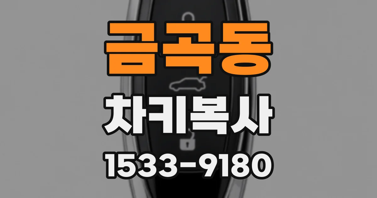 금곡동 차키복사