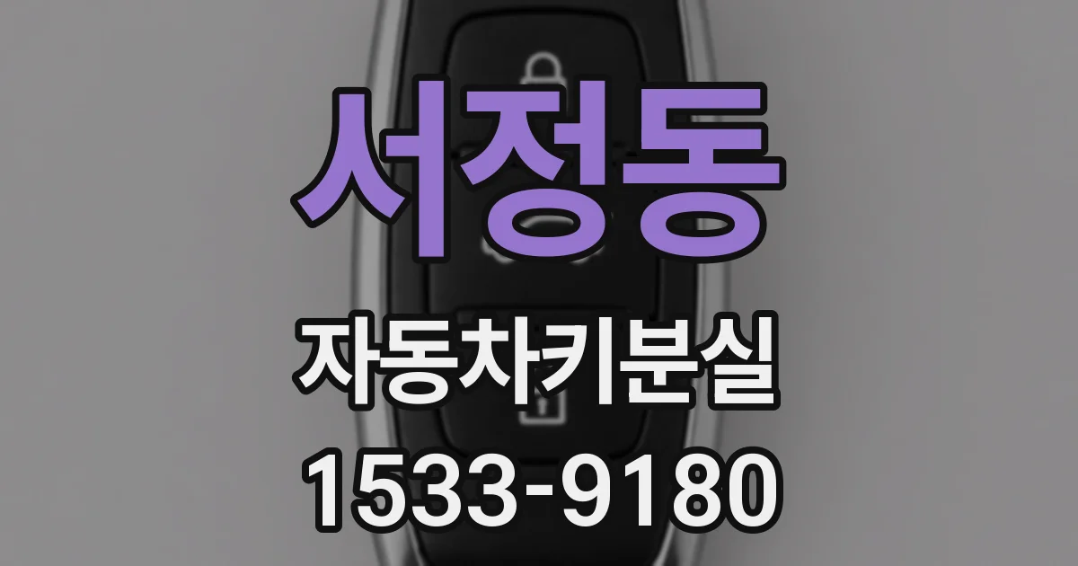 서정동 자동차키분실