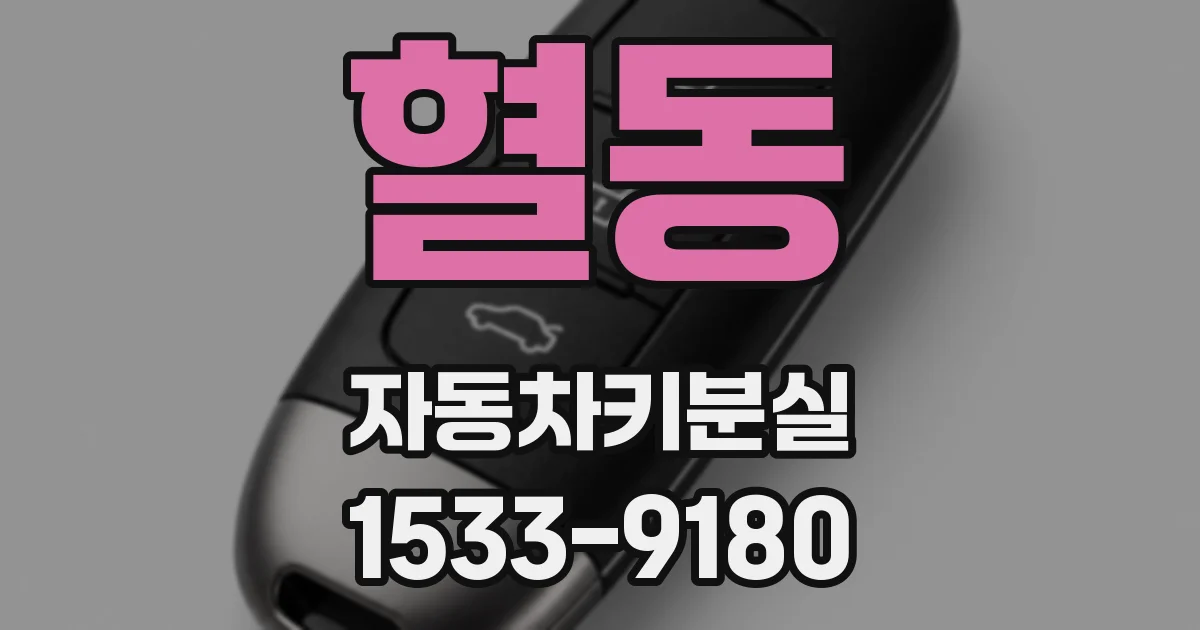 혈동 자동차키분실