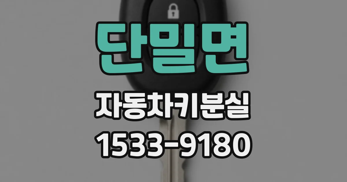 단밀면 자동차키분실