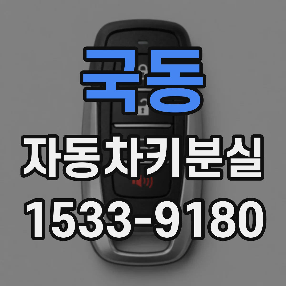 국동 자동차키분실