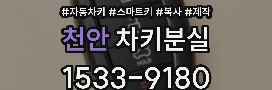 천안 차키분실