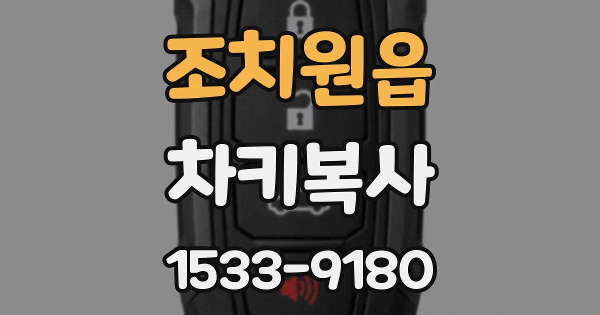 조치원읍 차키복사