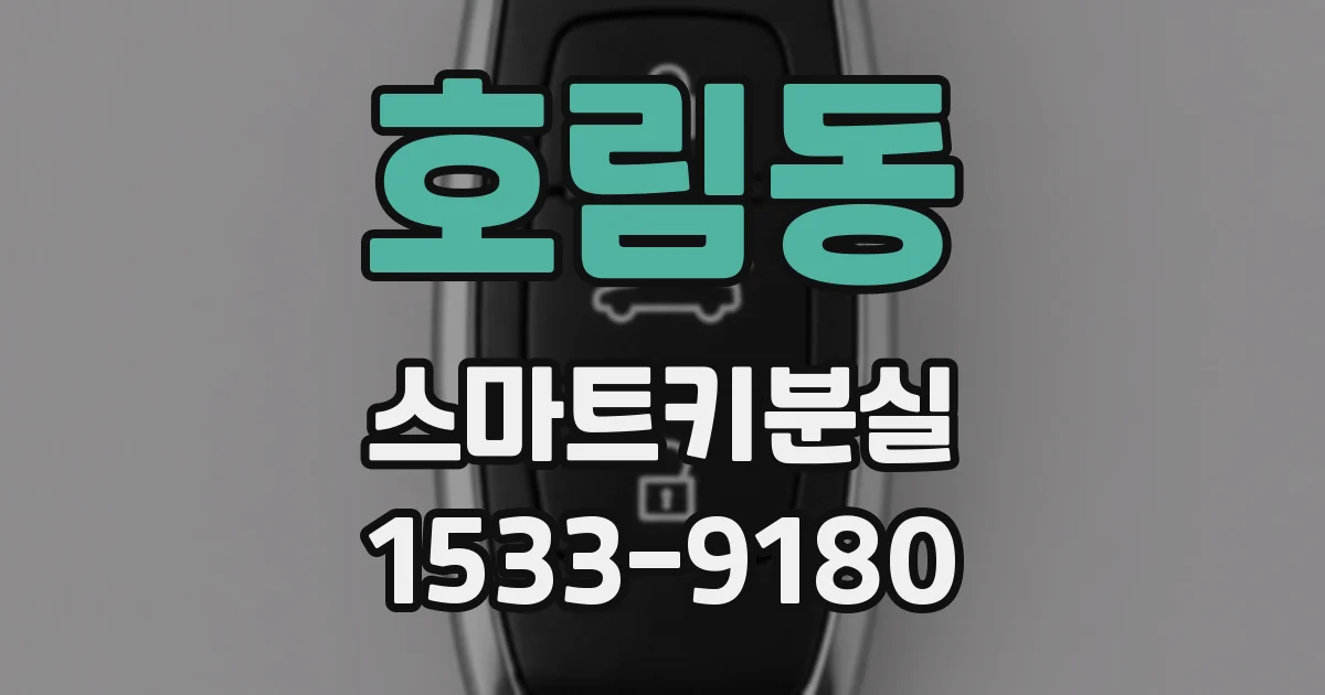 호림동 스마트키분실