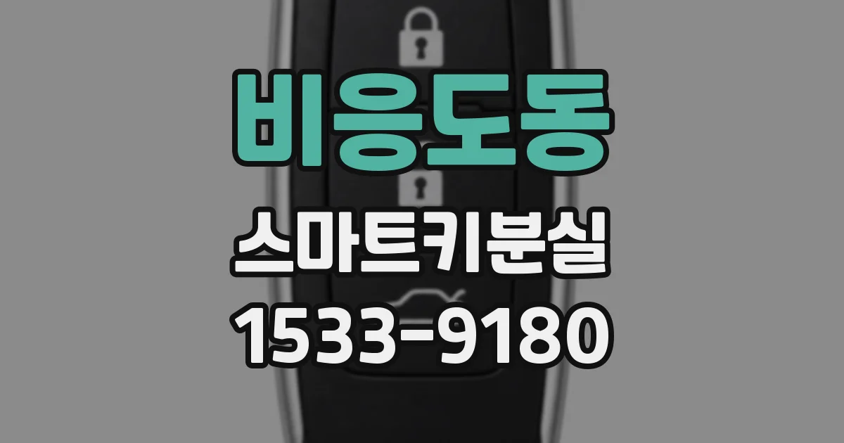 비응도동 스마트키분실