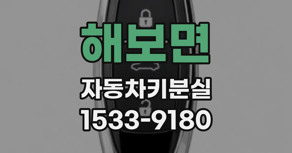 해보면 자동차키분실