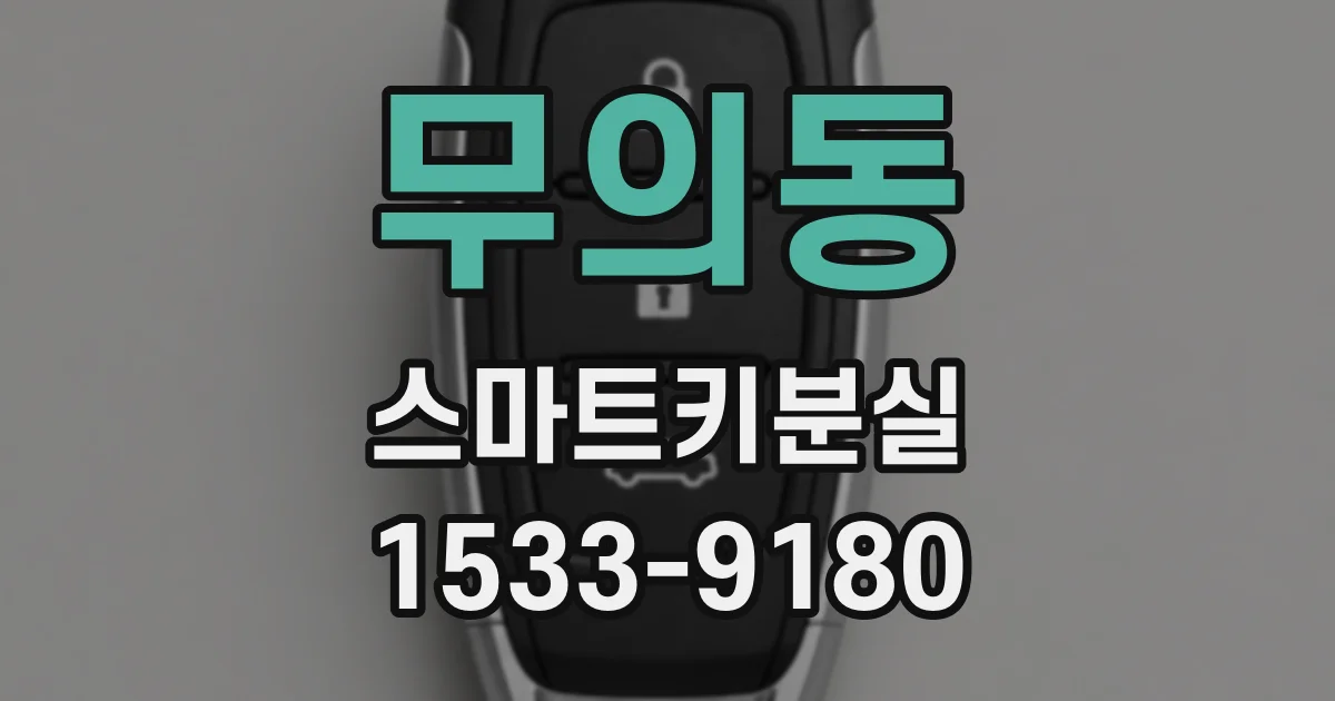 무의동 스마트키분실