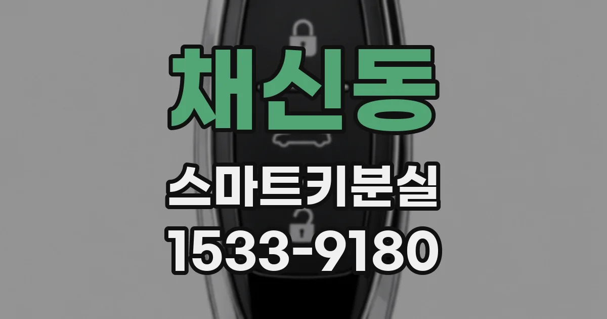채신동 스마트키분실