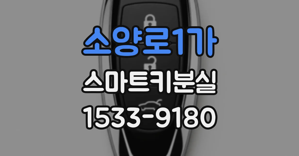 소양로1가 스마트키분실