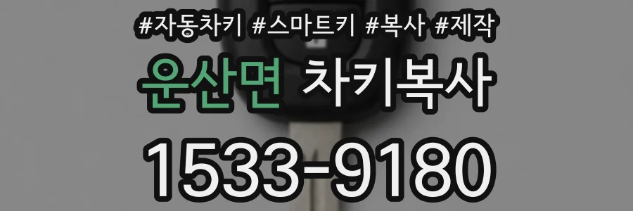 운산면 차키복사