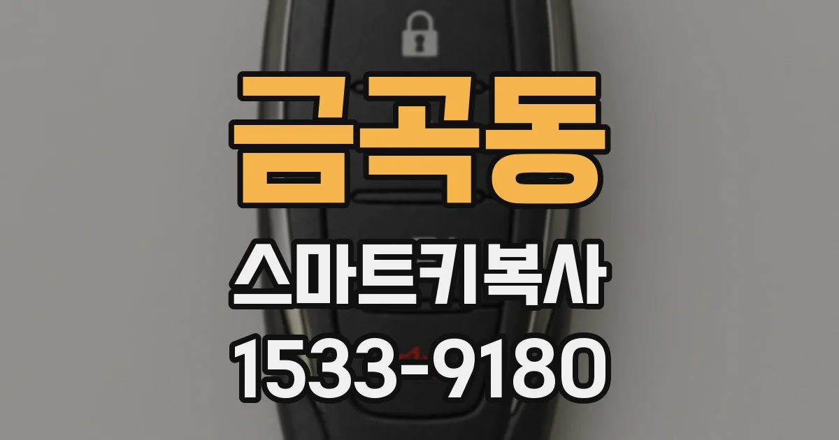 금곡동 스마트키복사