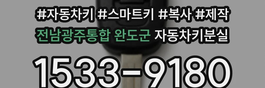 전남광주통합 완도군 자동차키분실
