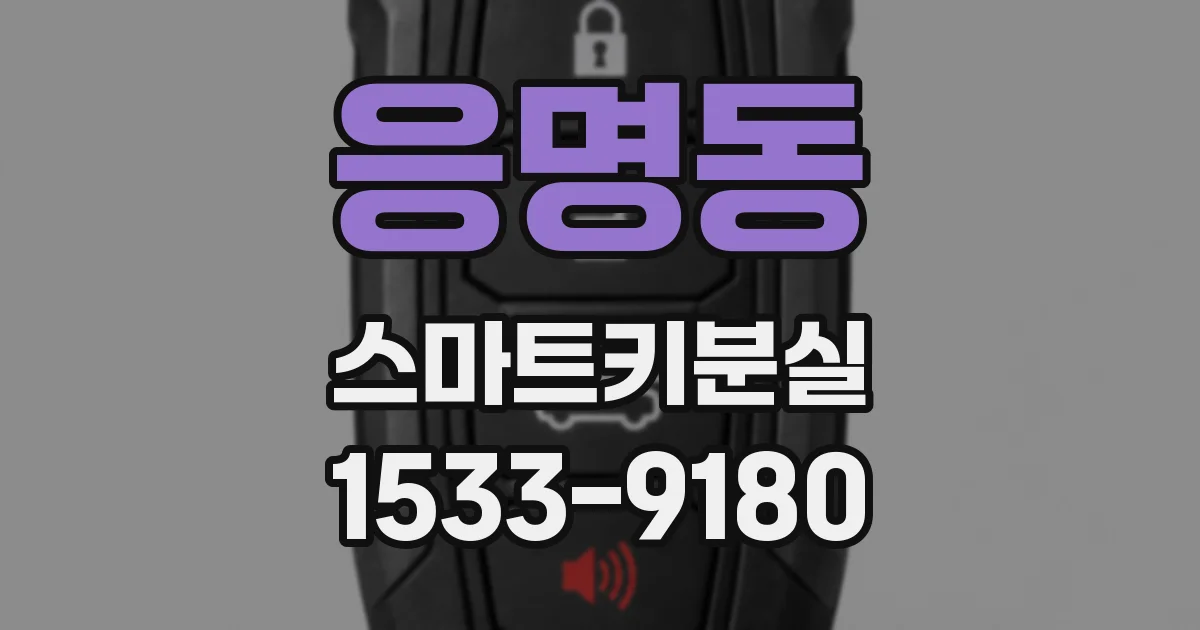 응명동 스마트키분실