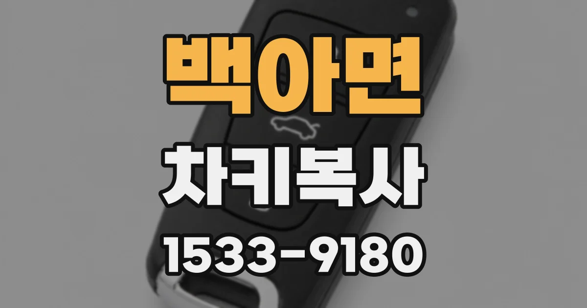 백아면 차키복사
