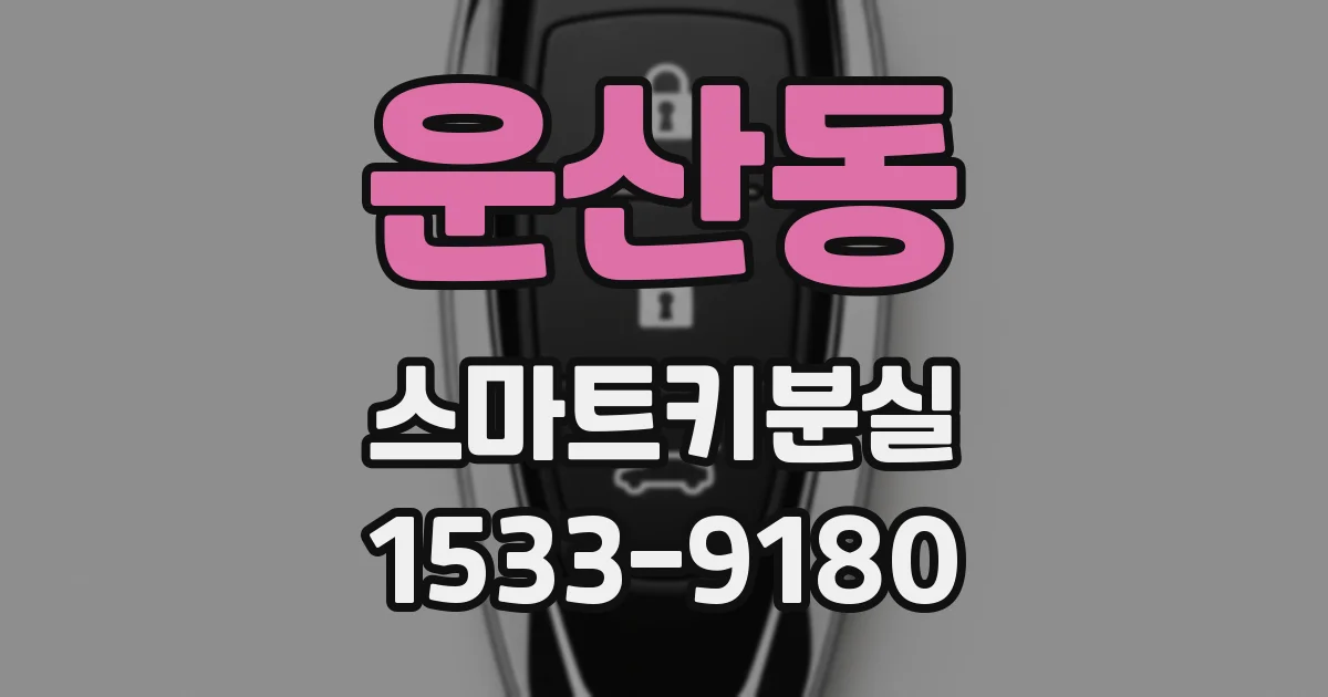 운산동 스마트키분실