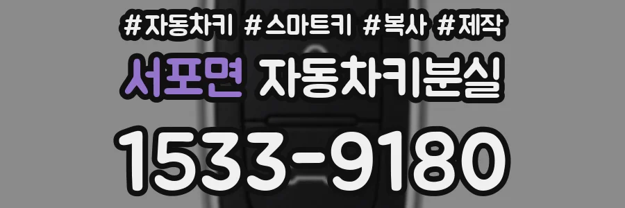 서포면 자동차키분실