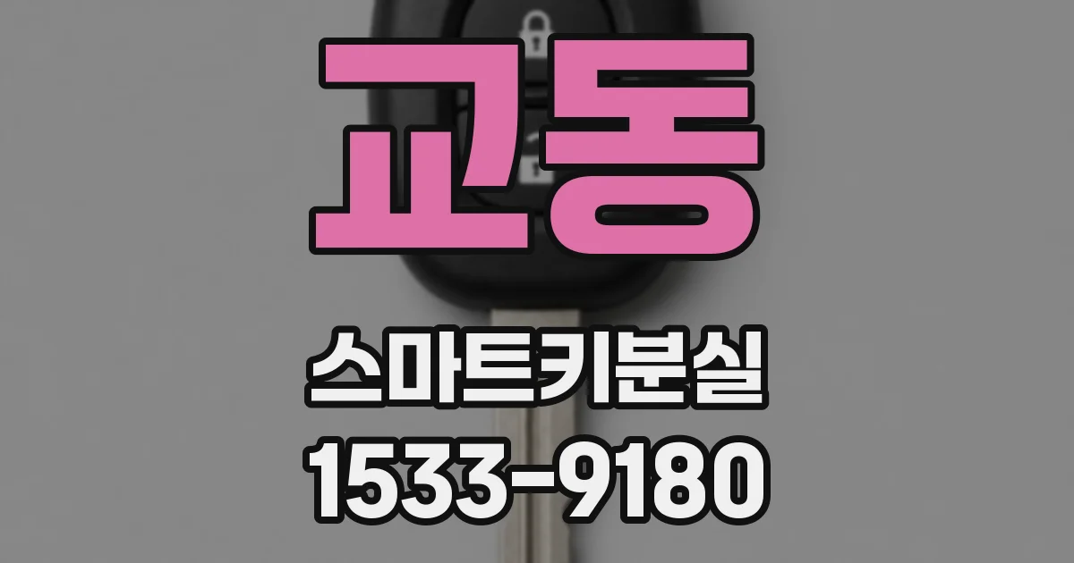 교동 스마트키분실