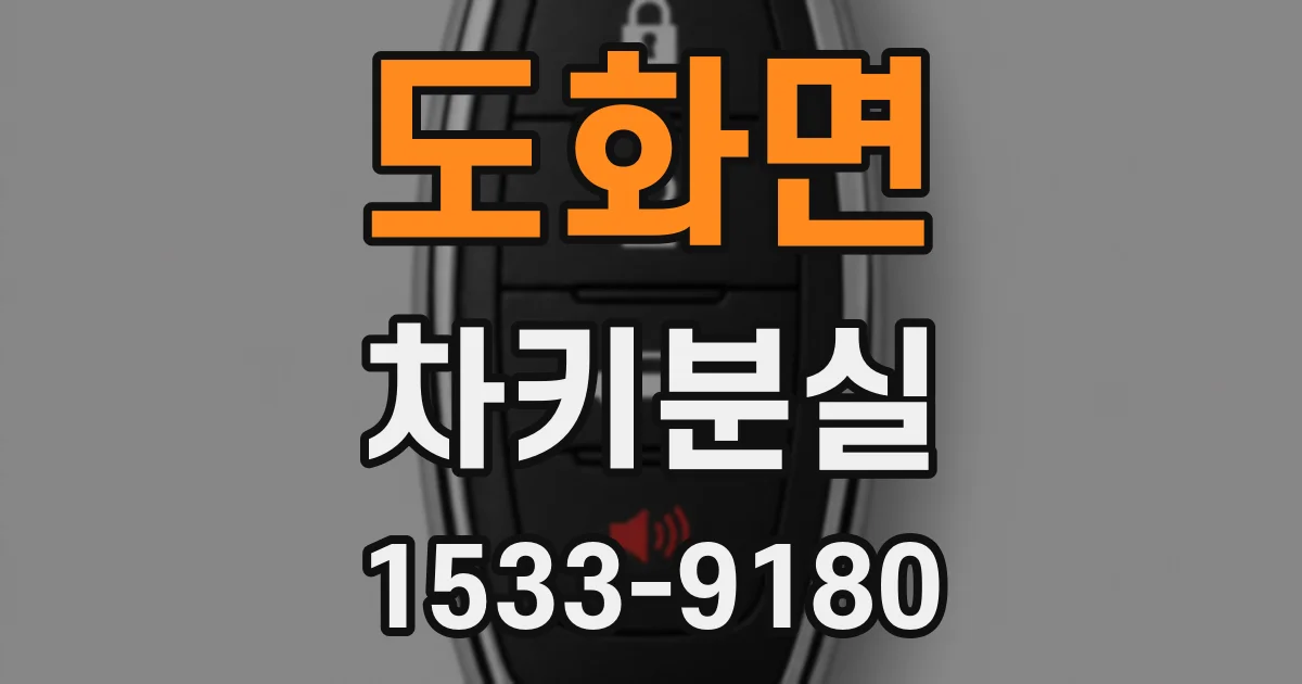 도화면 차키분실