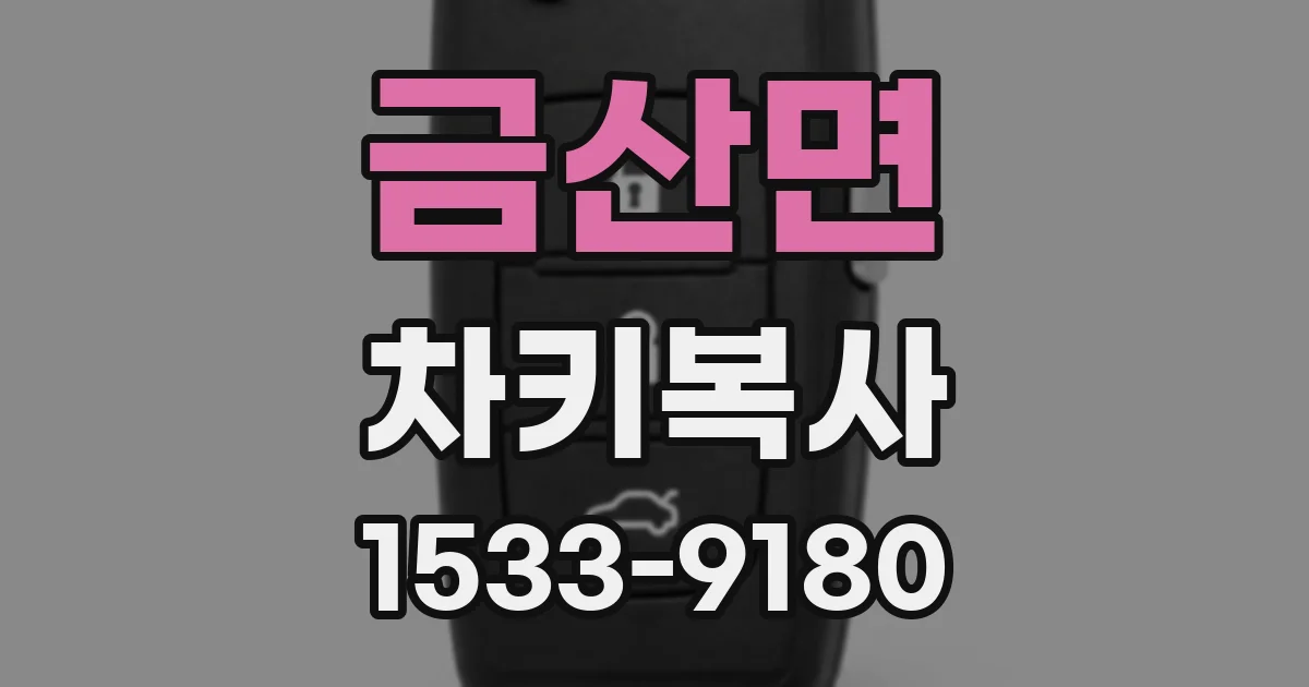 금산면 차키복사